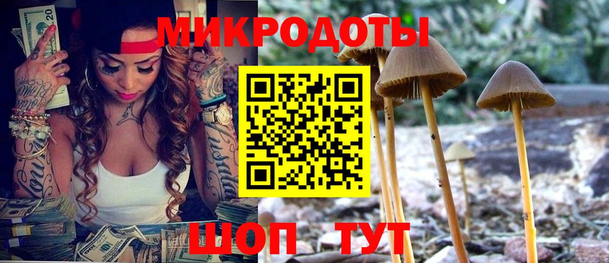Галлюциногенные грибы Magic Shrooms  Вход с VPN  где купить наркотик  Карпинск 